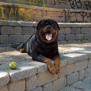 Meet your Posher, Natalia